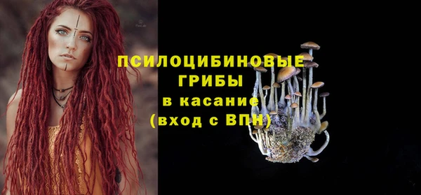 стафф Беломорск