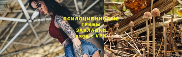 стафф Беломорск