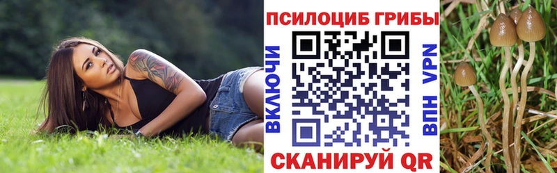 Купить закладки  Балашов  Псилоцибиновые грибы Cubensis 