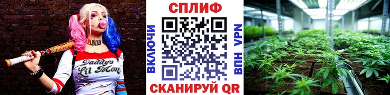 МАРИХУАНА гибрид  Купить  Балашов 